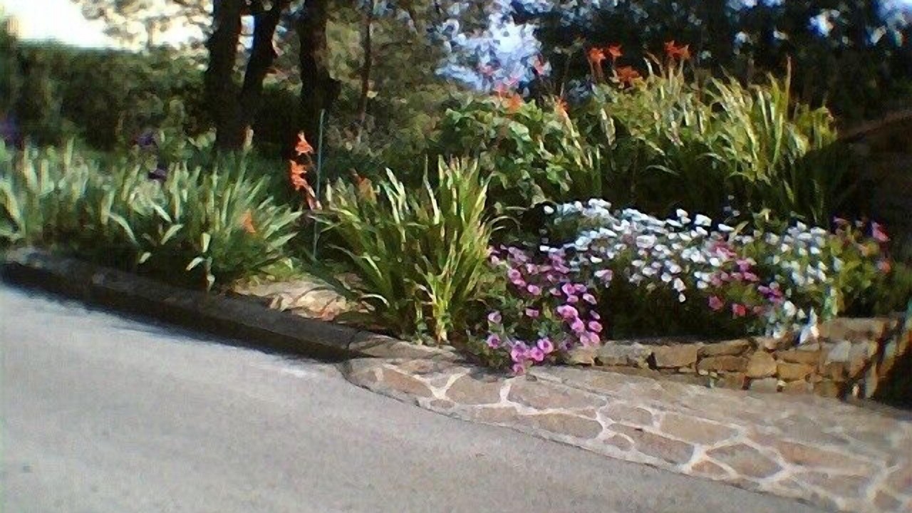 Photo of Outdoor in Le Lavandou