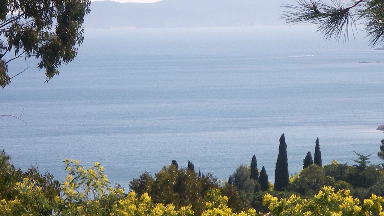 Photo of Others in Le Lavandou