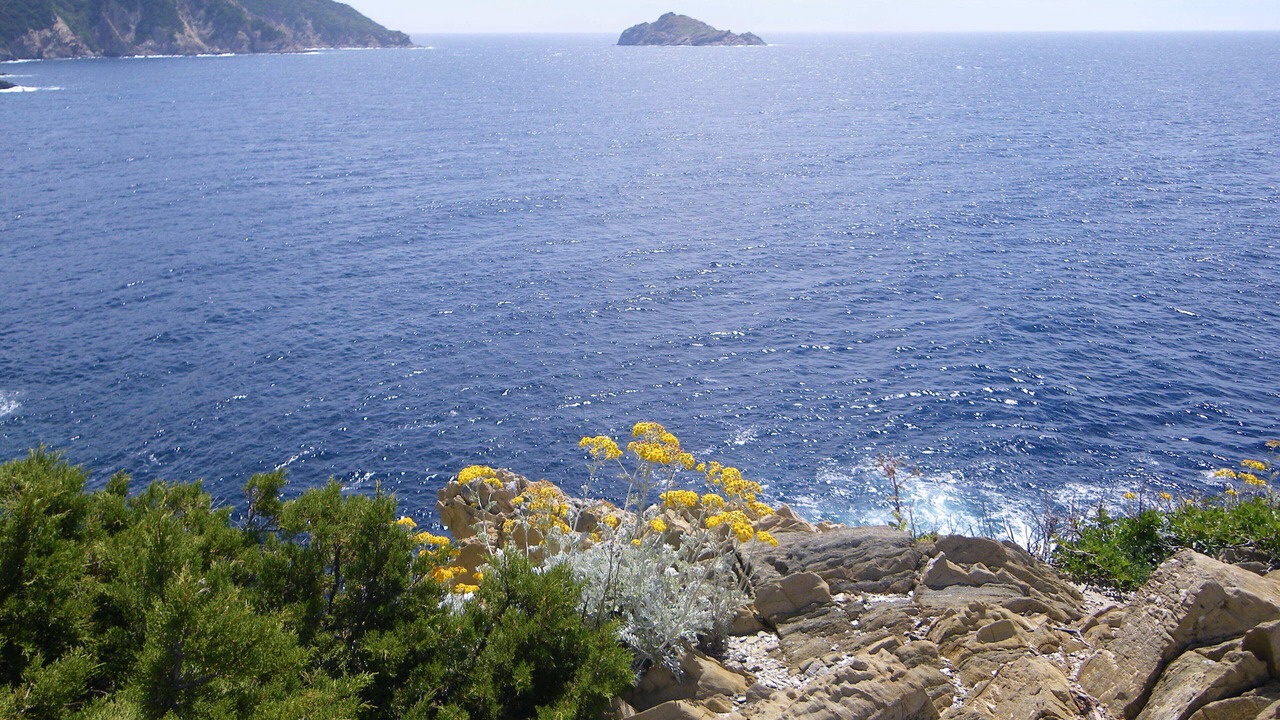 Photo of Others in Le Lavandou