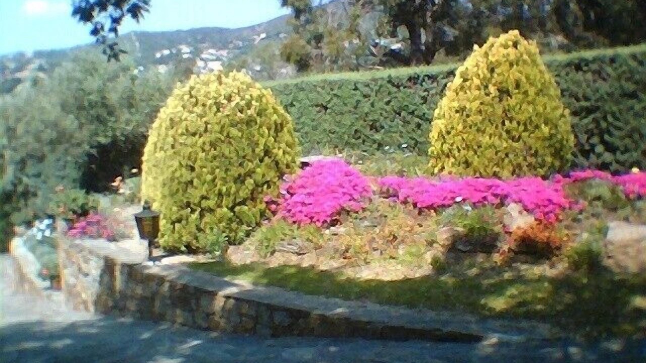 Photo of Outdoor in Le Lavandou