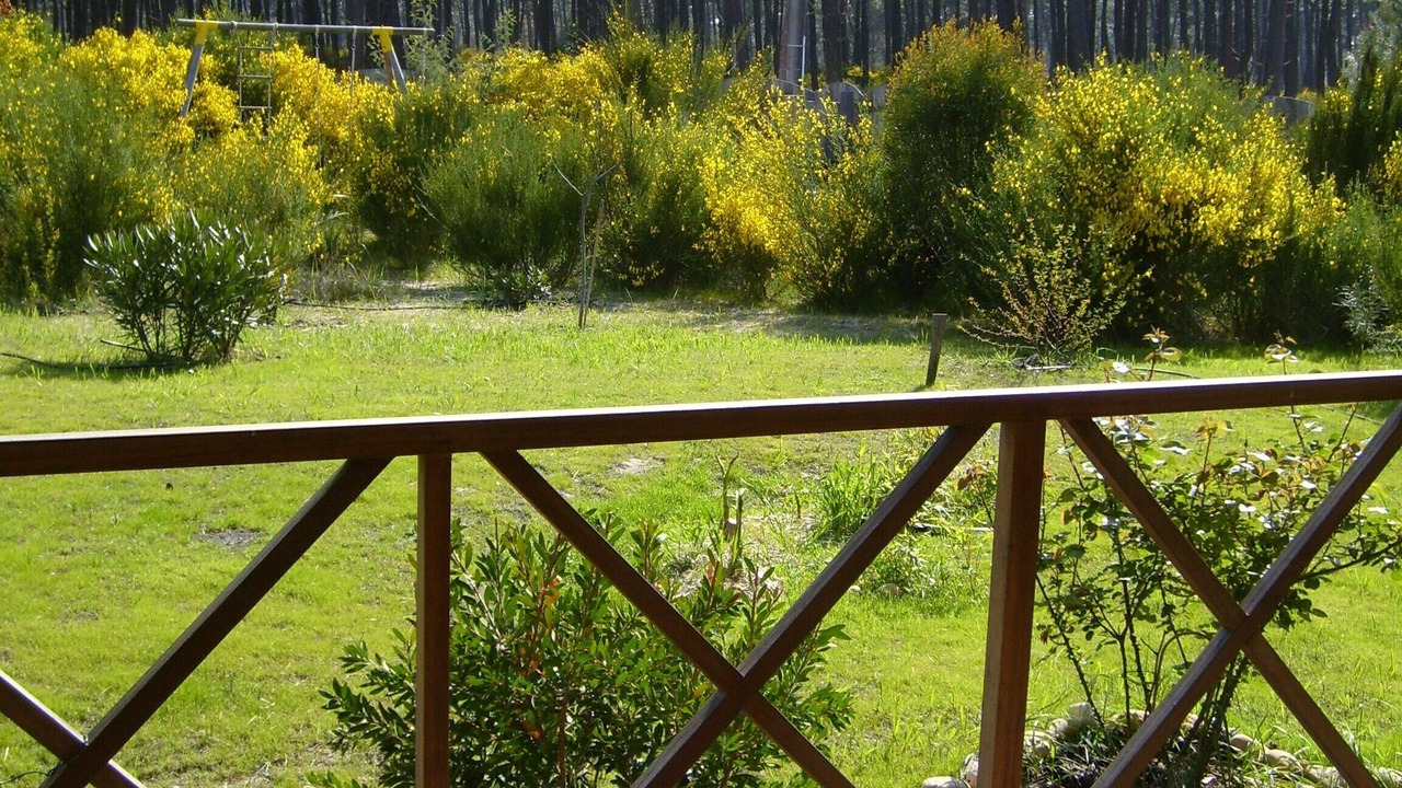 Photo of Outdoor in Vendays-Montalivet
