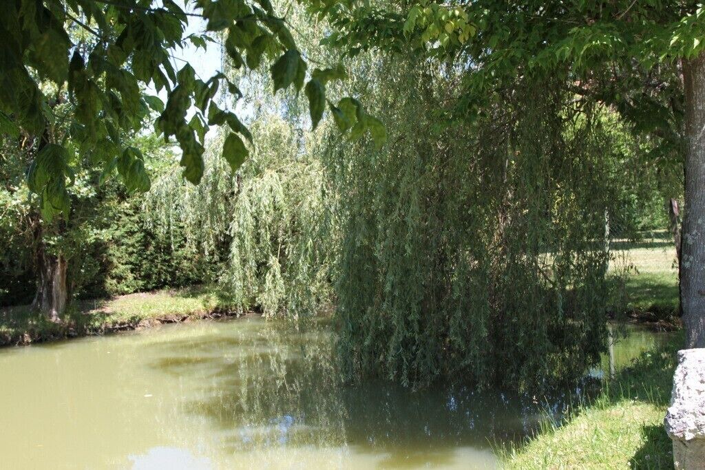 Photo of Outdoor in Montpon-Menesterol