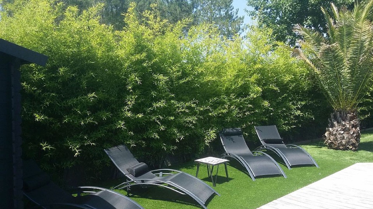 Photo of Outdoor in Moliets-et-Maa