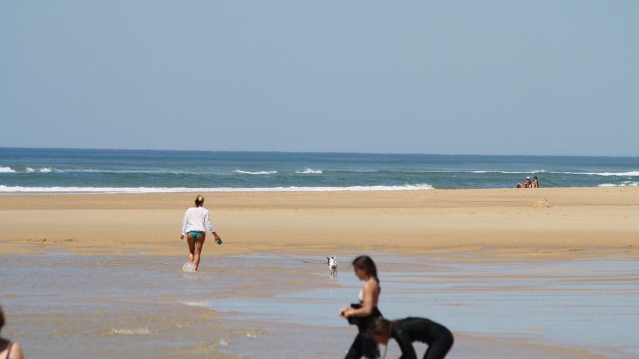 Photo of Others in Contis-les-Bains