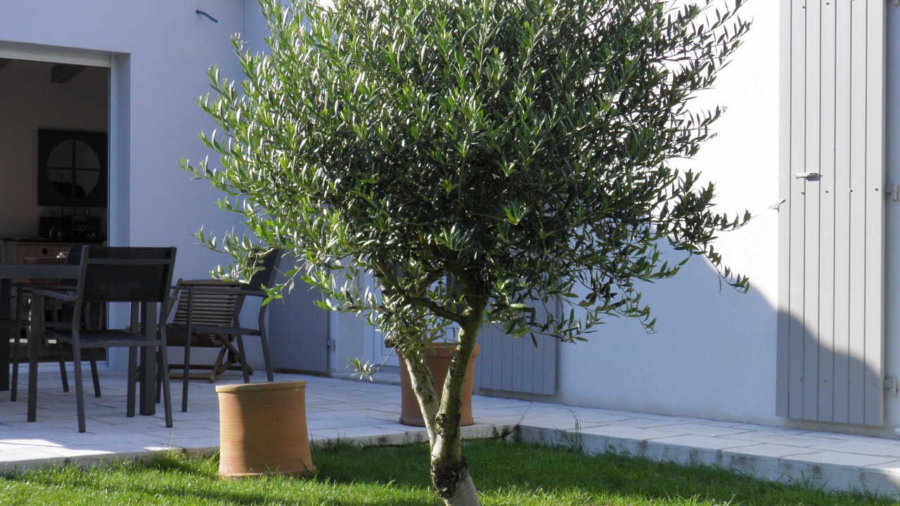 Photo of Outdoor in La Bree-les-Bains