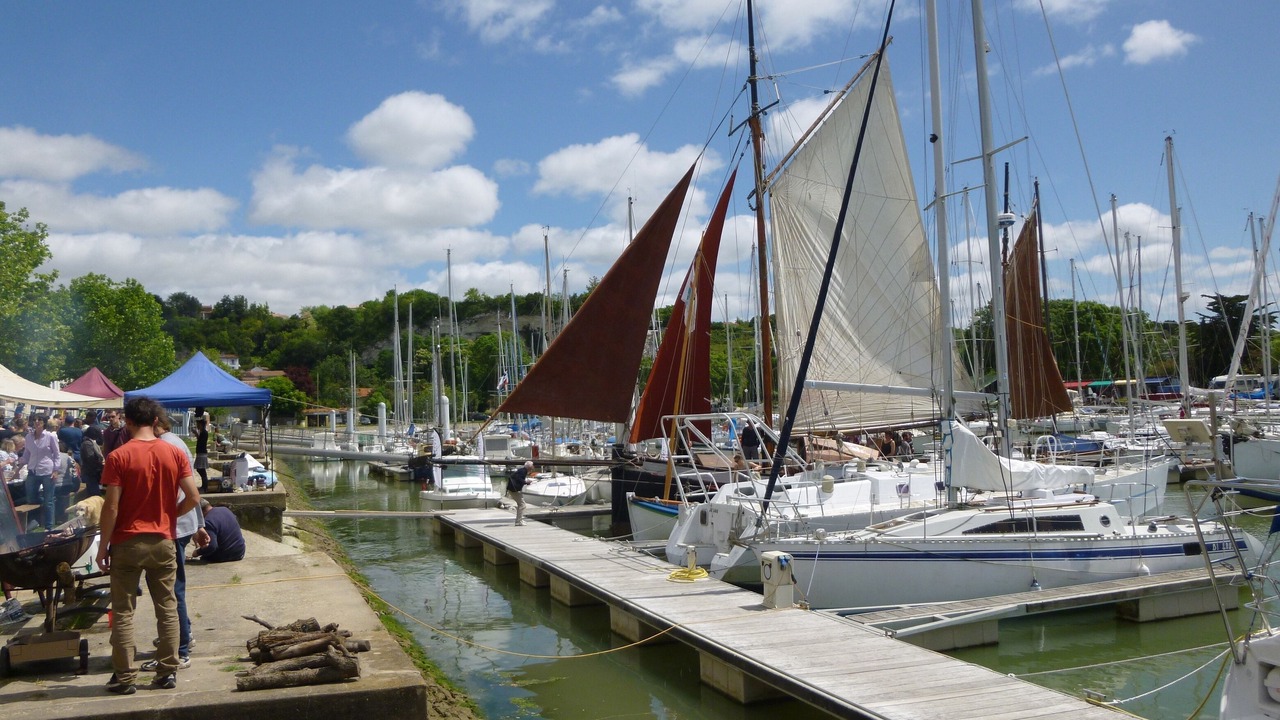 Photo of Others in Mortagne-sur-Gironde