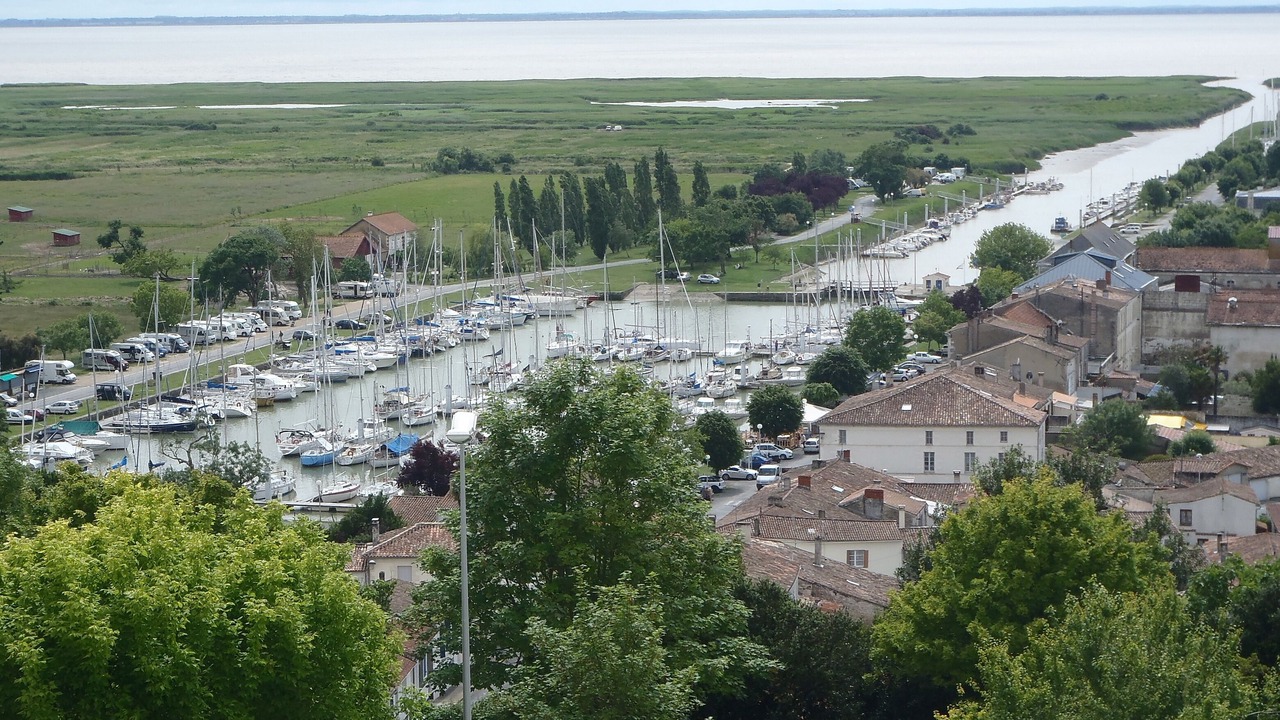 Photo of Others in Mortagne-sur-Gironde