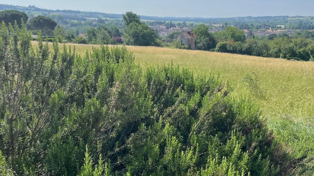 Photo of Outdoor in Lavardac