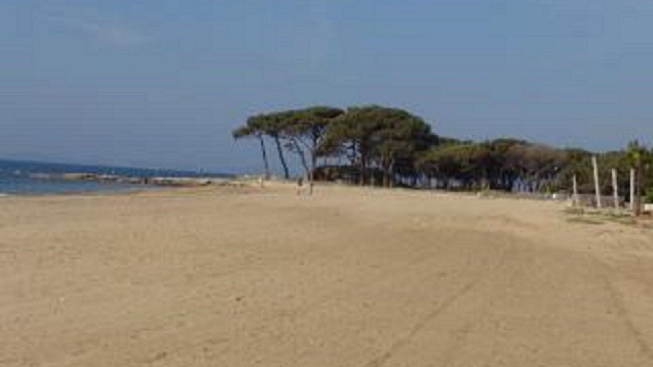 Photo of Others in Miramar