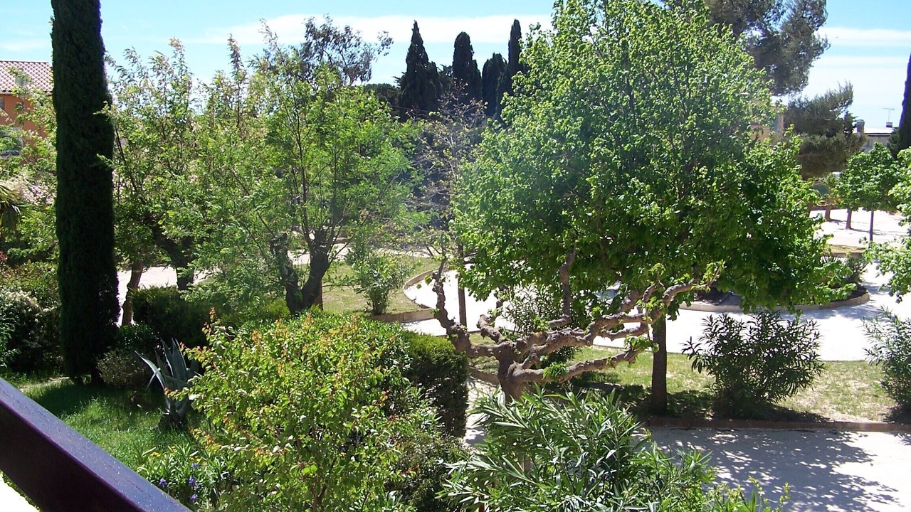 Photo of Outdoor in Miramar