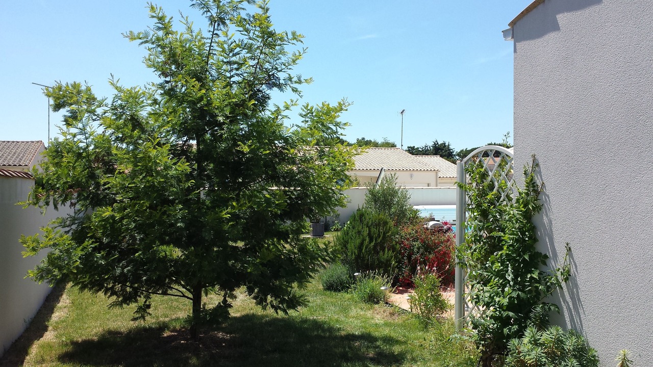 Photo of Outdoor in Les Mathes
