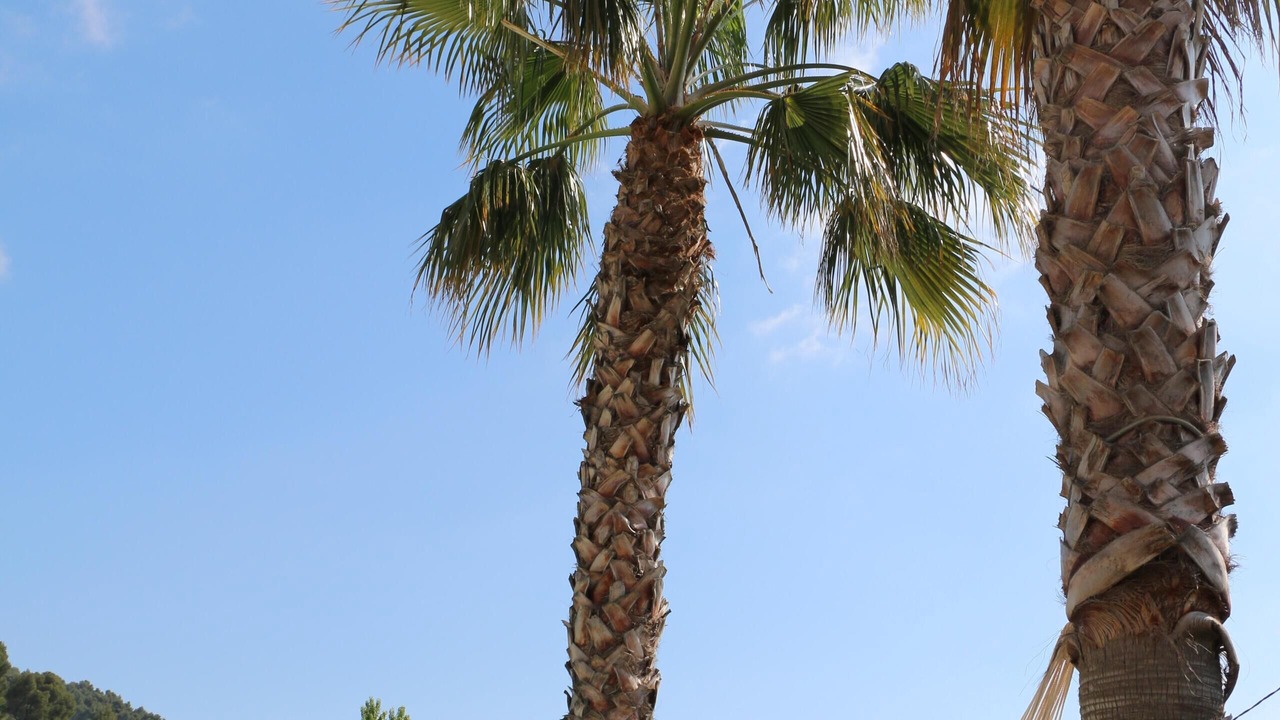Photo of Outdoor in La Farlede