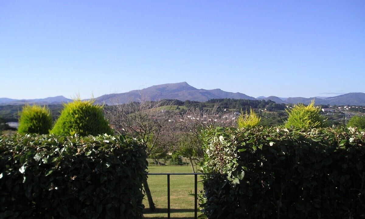 Photo of Outdoor in Kokotia