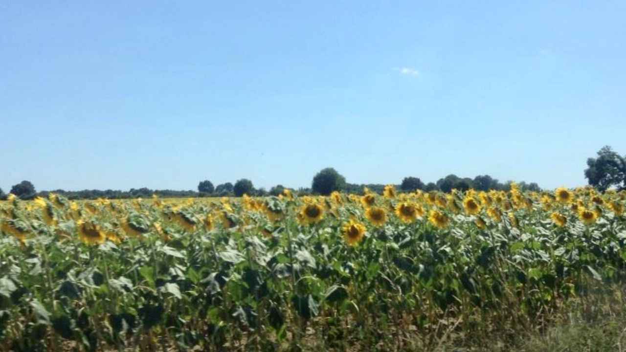 Photo of Outdoor in Jousse