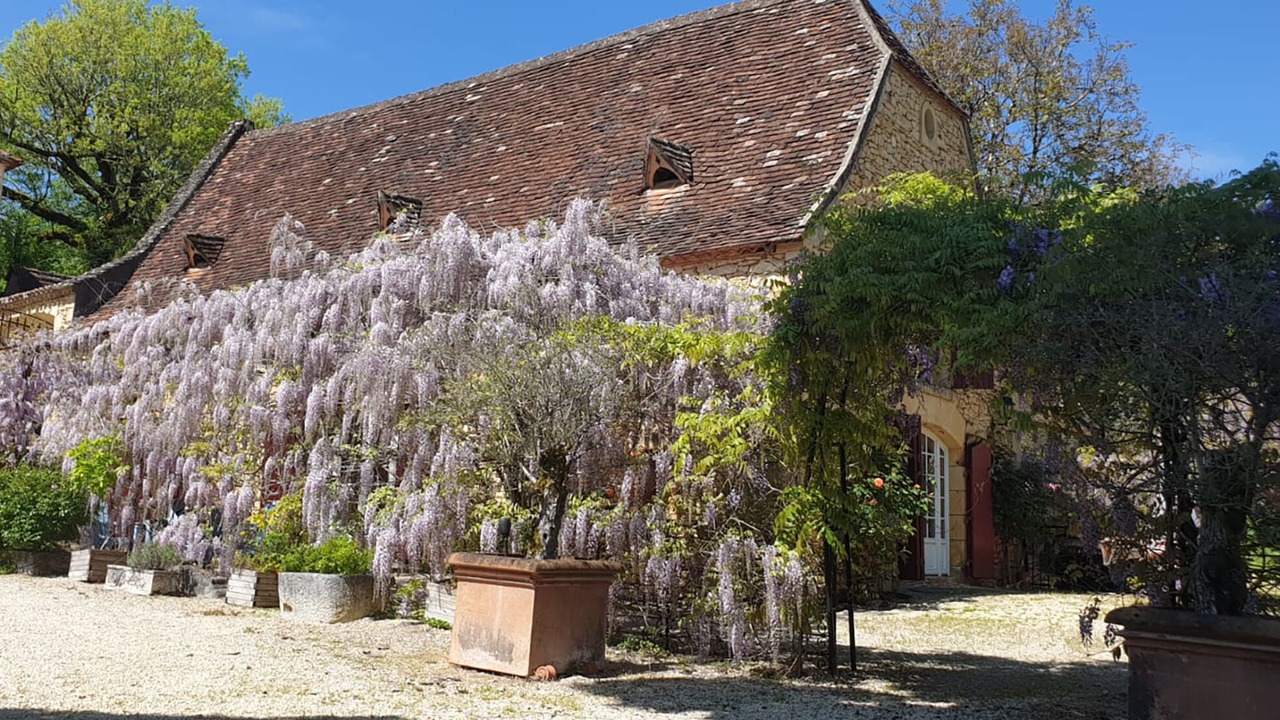 Photo of Others in Sainte-Alvere
