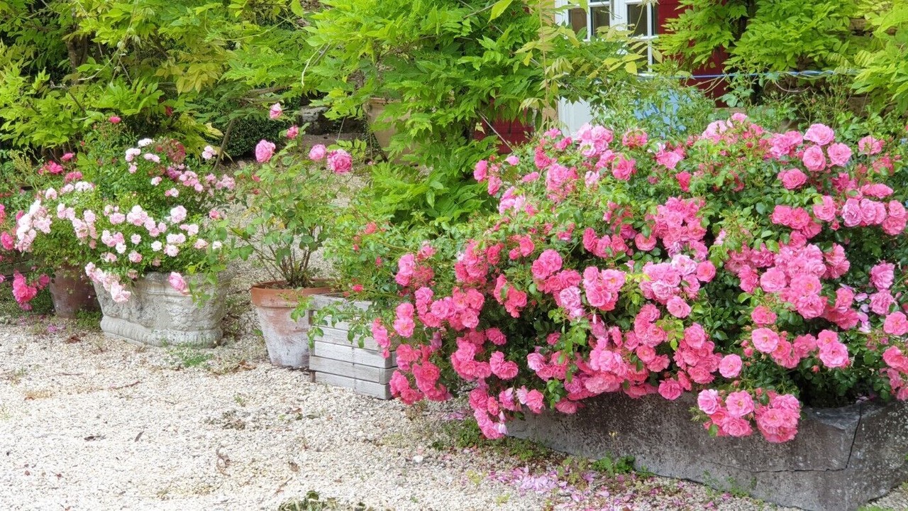 Photo of Outdoor in Sainte-Alvere