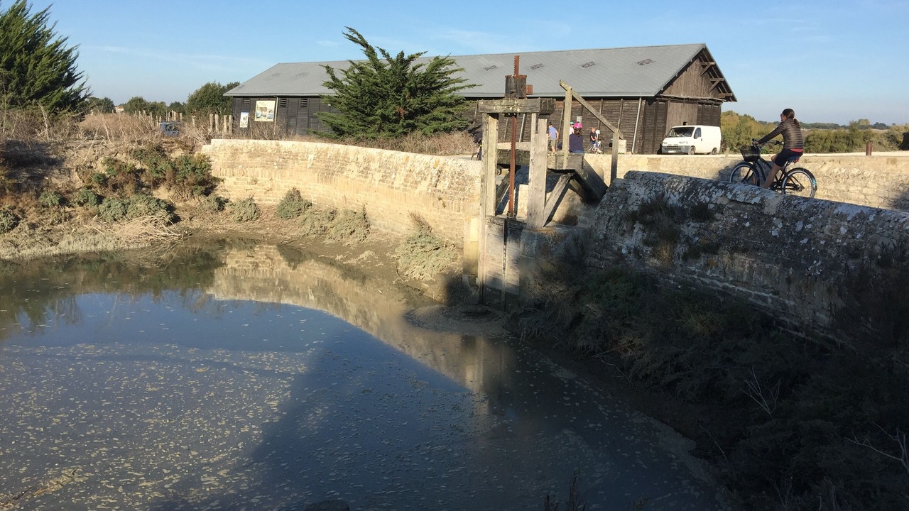 Photo of Outdoor in Les Portes-en-Re