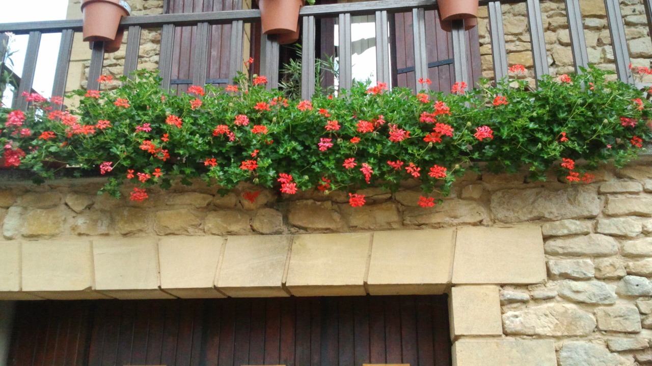 Photo of Outdoor in Mauzac-et-Grand-Castang