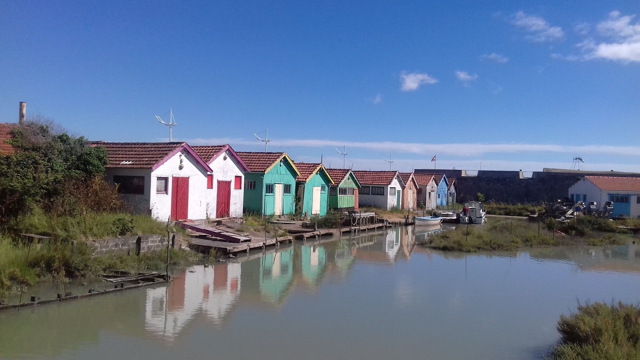 Photo of Outdoor in Saint-Trojan-les-Bains