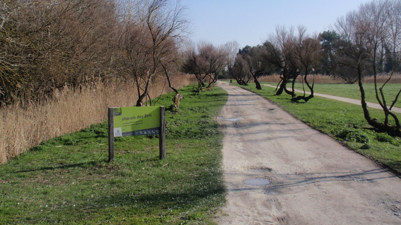 Photo of Outdoor in Saint-Trojan-les-Bains