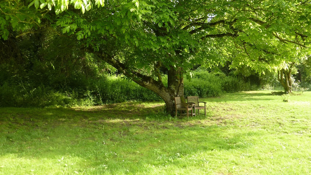 Photo of Others in Bardenac