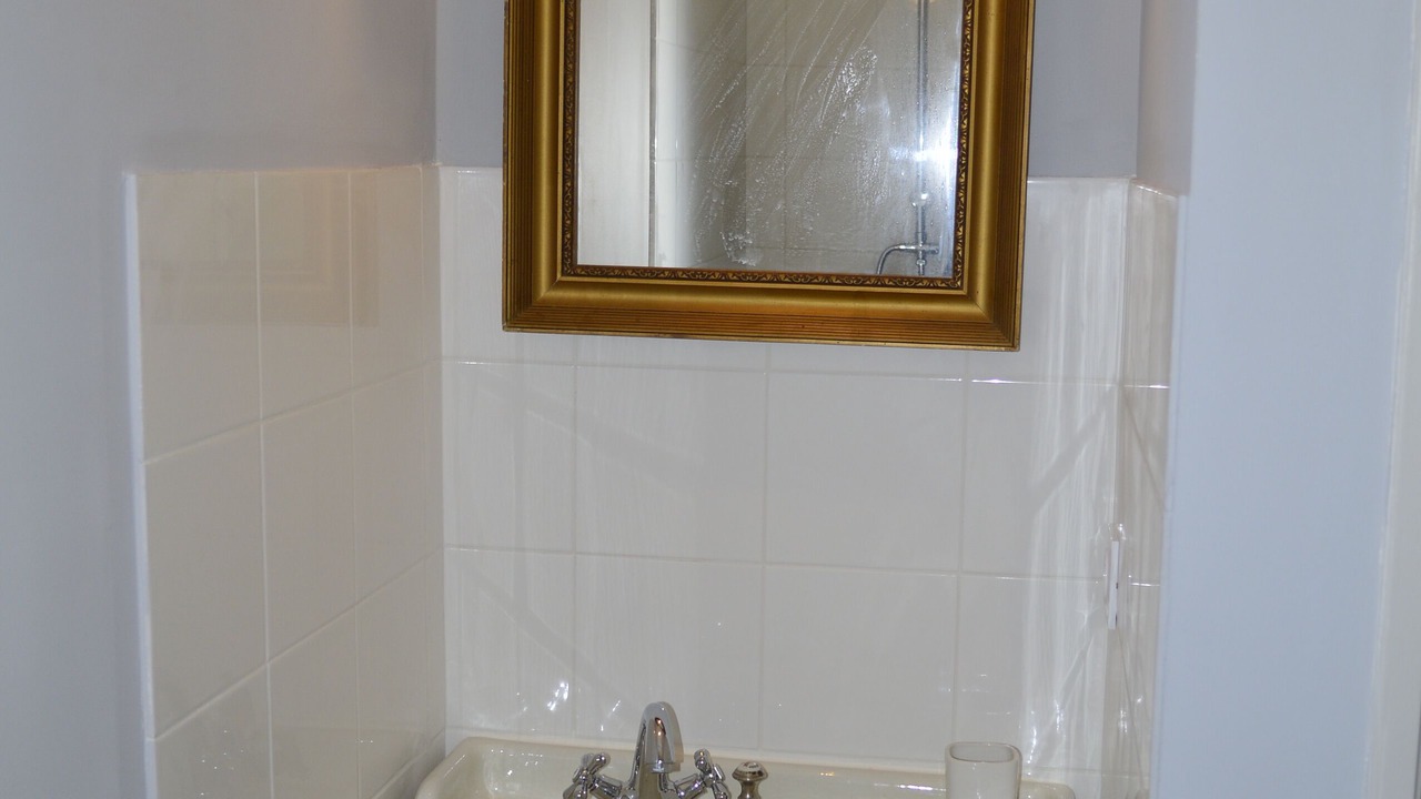 Photo of Bathroom in Cours-de-Pile