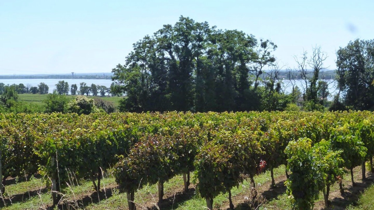 Photo of Outdoor in Bourg-sur-Gironde