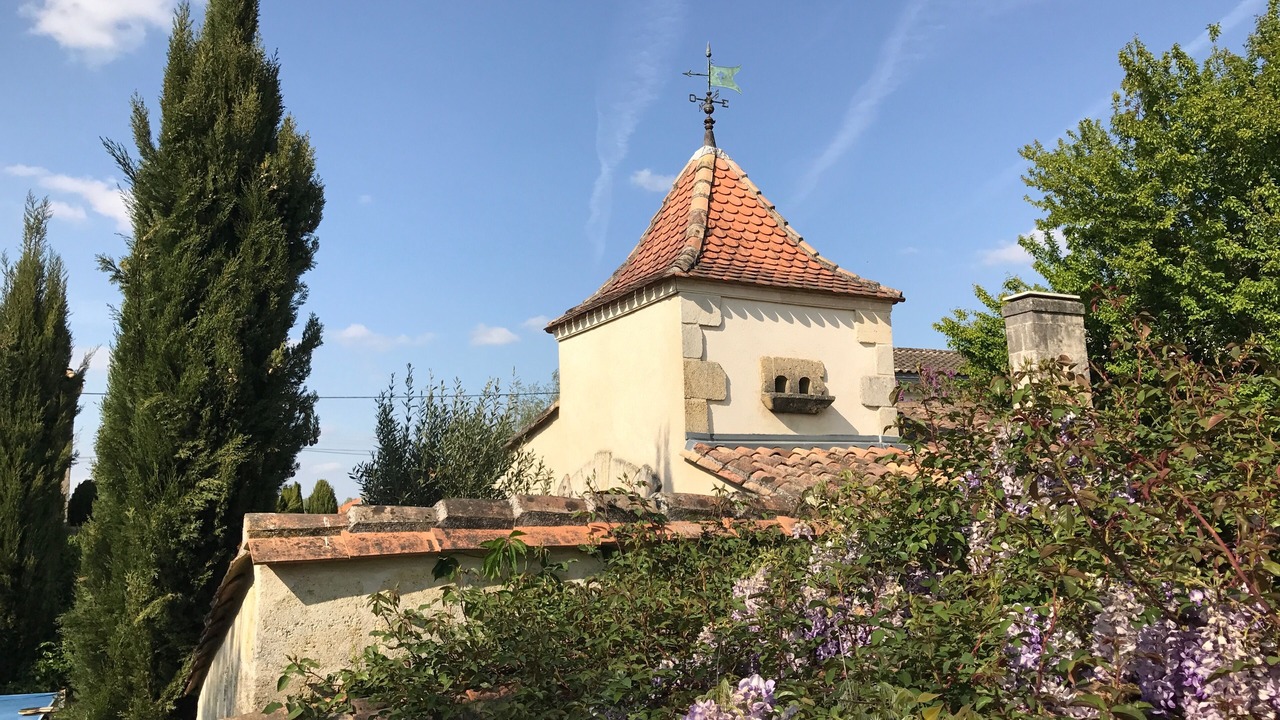 Photo of Others in Bourg-sur-Gironde