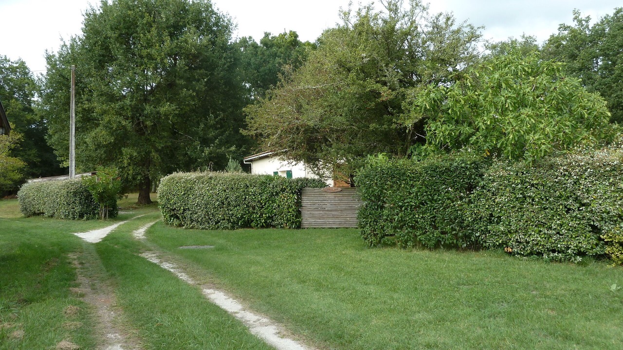 Photo of Others in Queyrac
