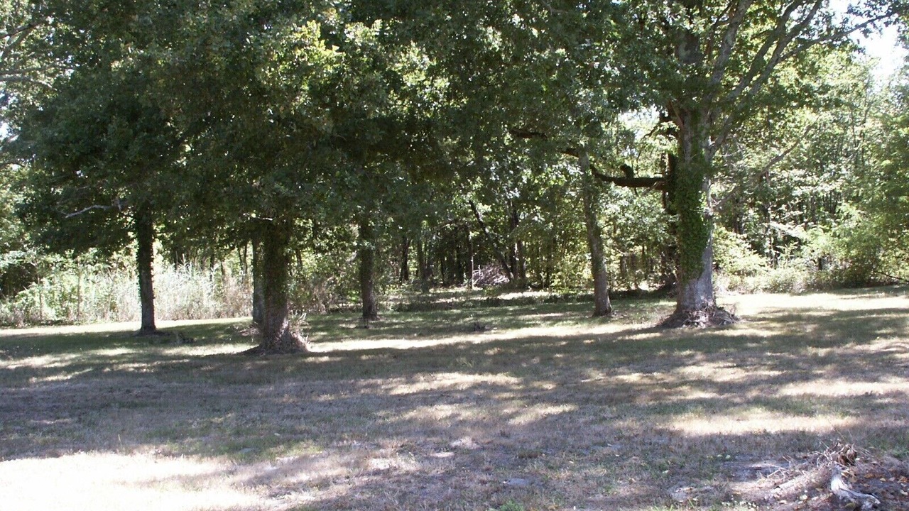 Photo of Outdoor in Queyrac