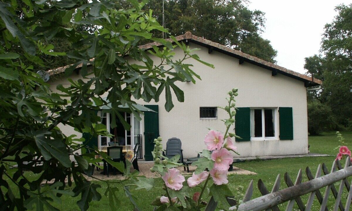 Photo of Outdoor in Queyrac
