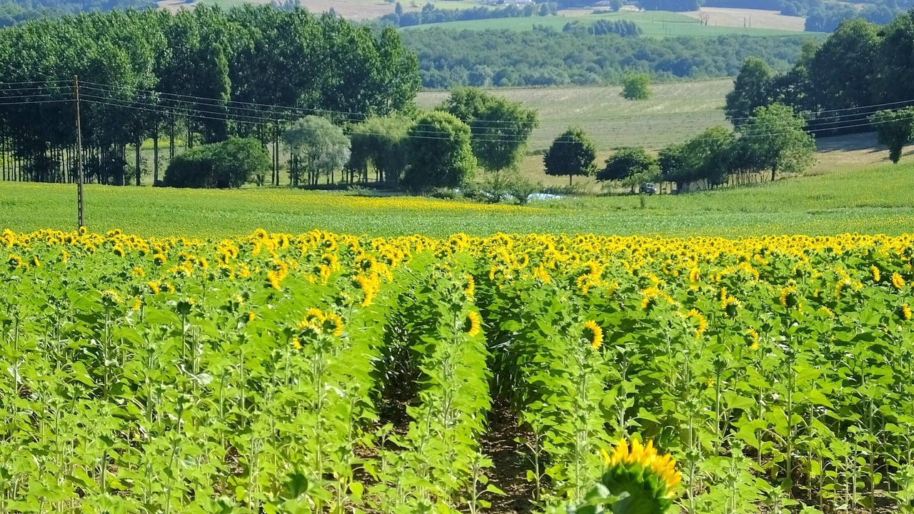 Photo of Others in Courgeac