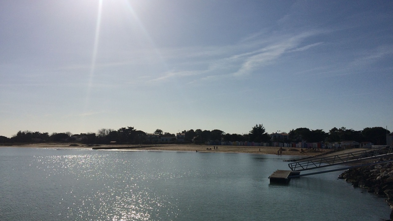 Photo of Others in Saint-Denis-d'Oleron