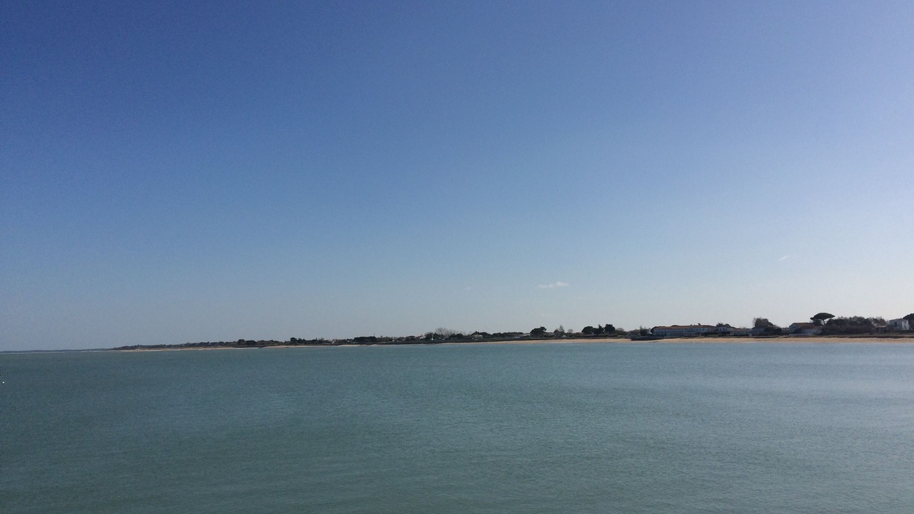 Photo of Others in Saint-Denis-d'Oleron