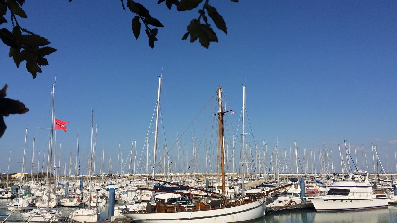 Photo of Others in Saint-Denis-d'Oleron