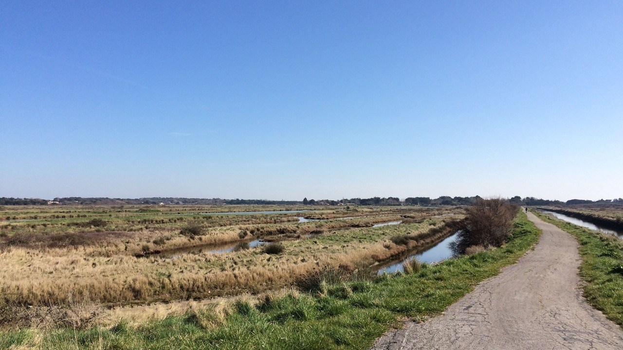 Photo of Others in Saint-Denis-d'Oleron