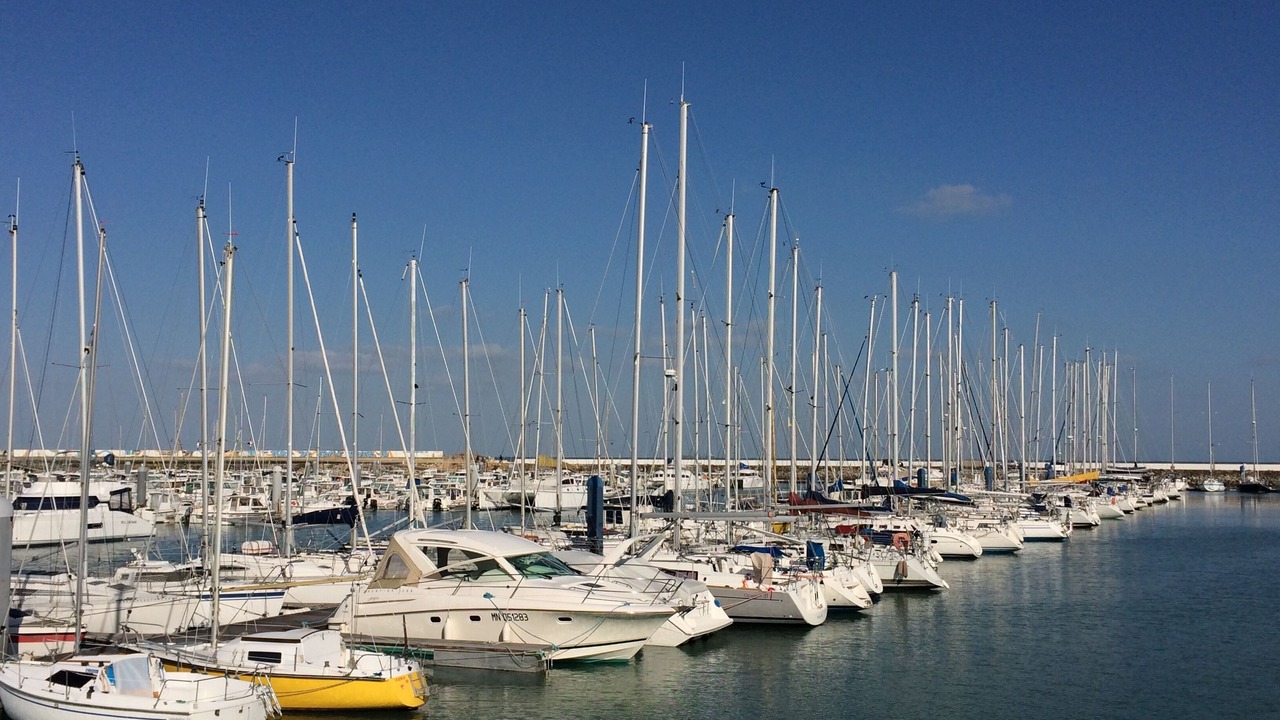 Photo of Others in Saint-Denis-d'Oleron