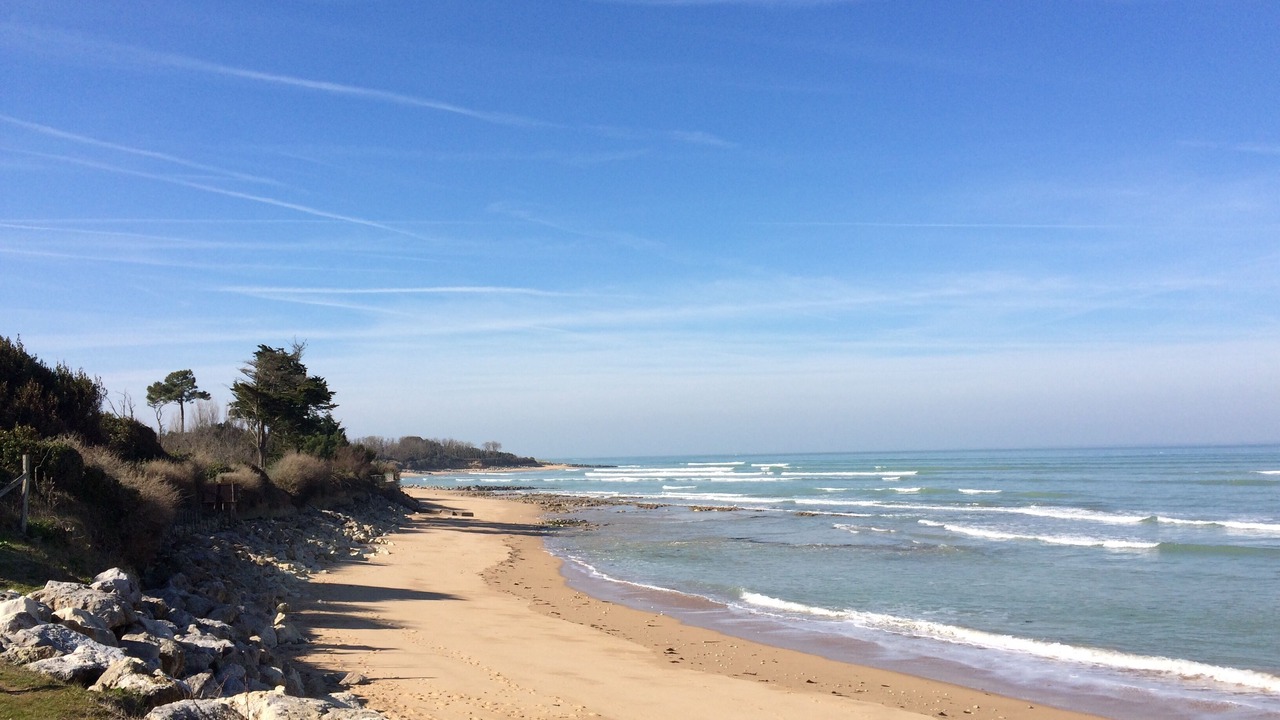 Photo of Others in Saint-Denis-d'Oleron