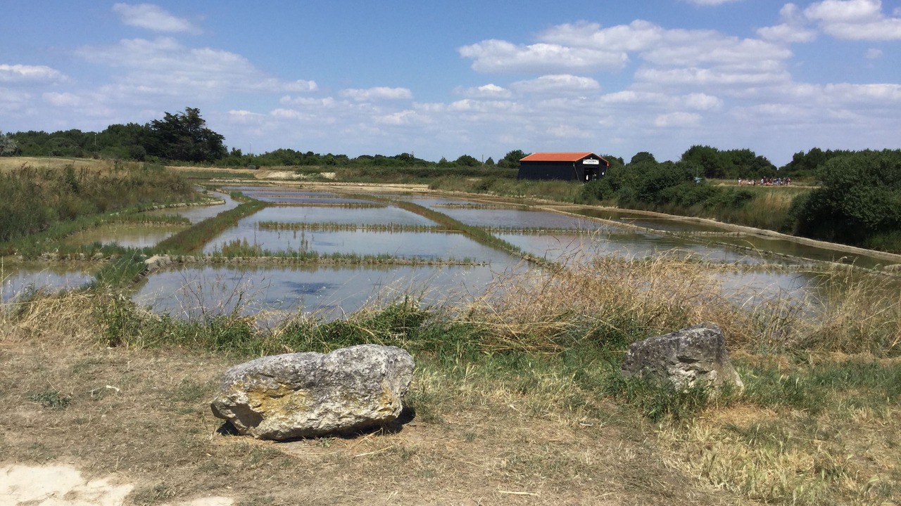 Photo of Others in Saint-Georges-d'Oleron
