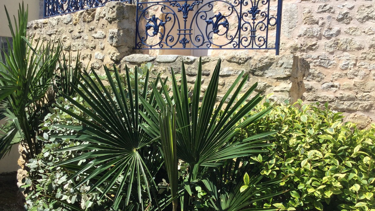 Photo of Outdoor in Saint-Georges-d'Oleron