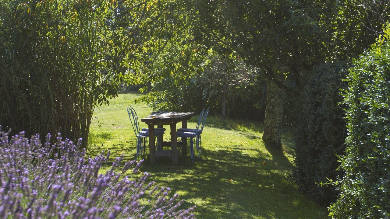 Photo of Outdoor in Saint-Cybranet