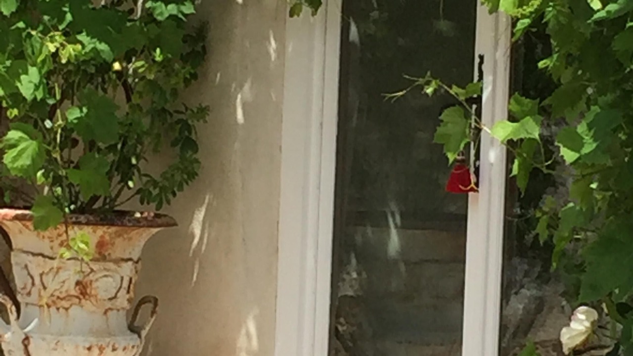 Photo of Outdoor in Juillac