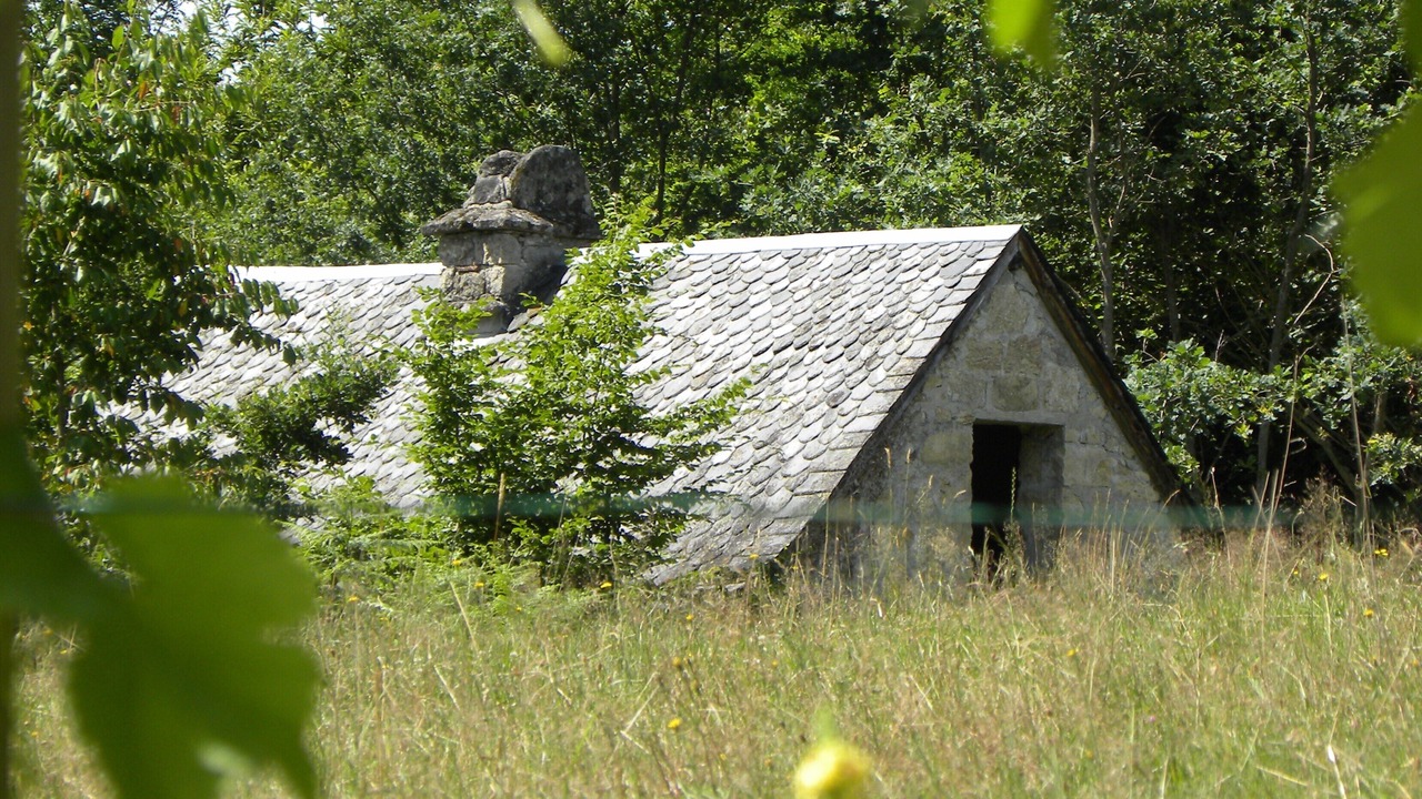 Photo of Others in La Roche-Canillac