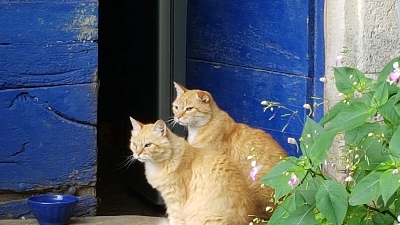 Photo of Outdoor in Cubjac