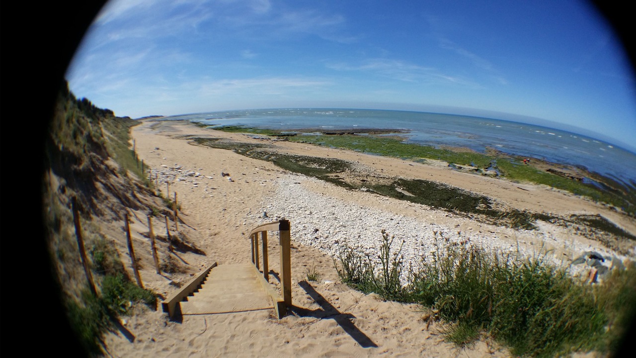 Photo of Others in Saint-Clement-des-Baleines