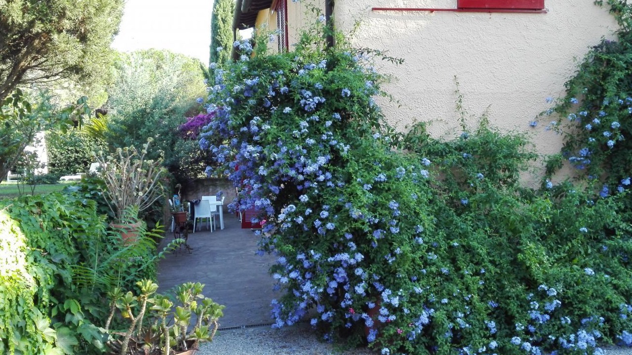Photo of Outdoor in Magazzini