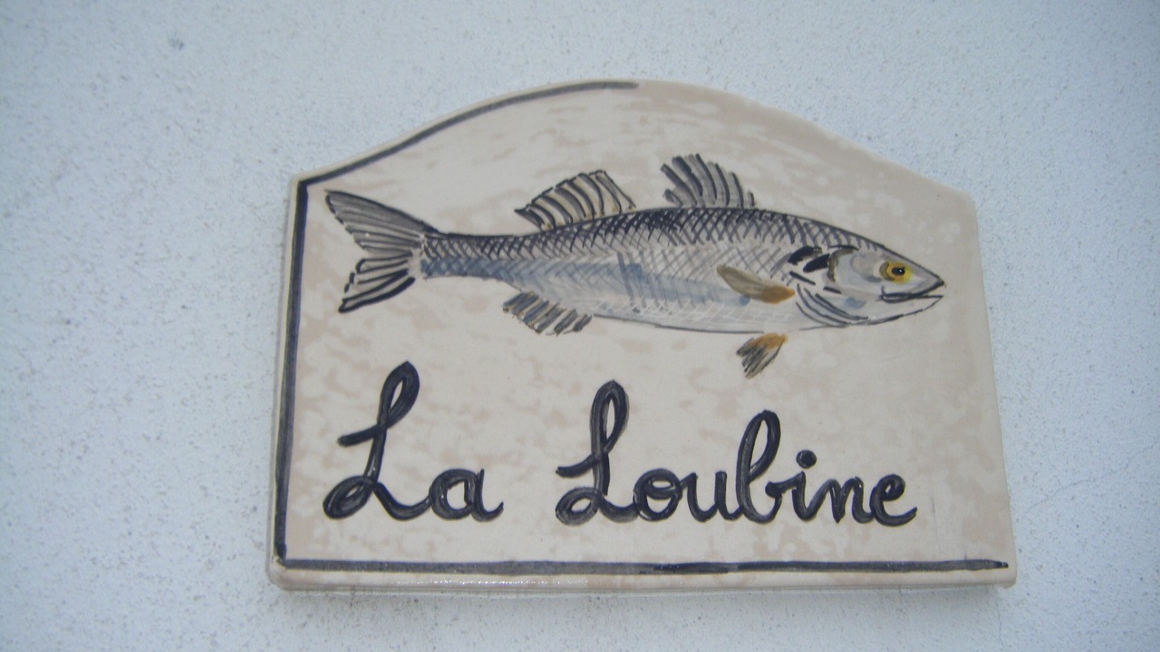 Photo of Others in La Cotiniere