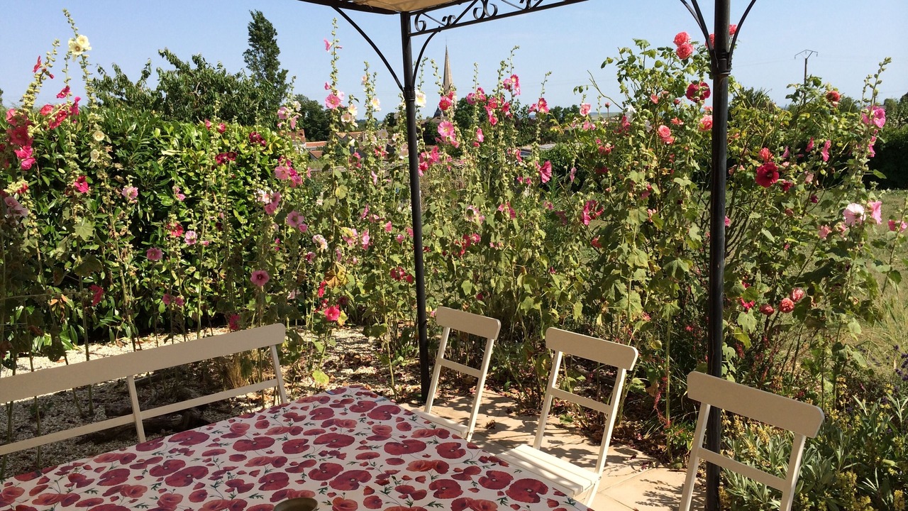Photo of Outdoor in Mortagne-sur-Gironde