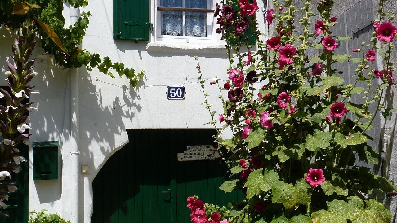 Photo of Outdoor in La Couarde-sur-Mer