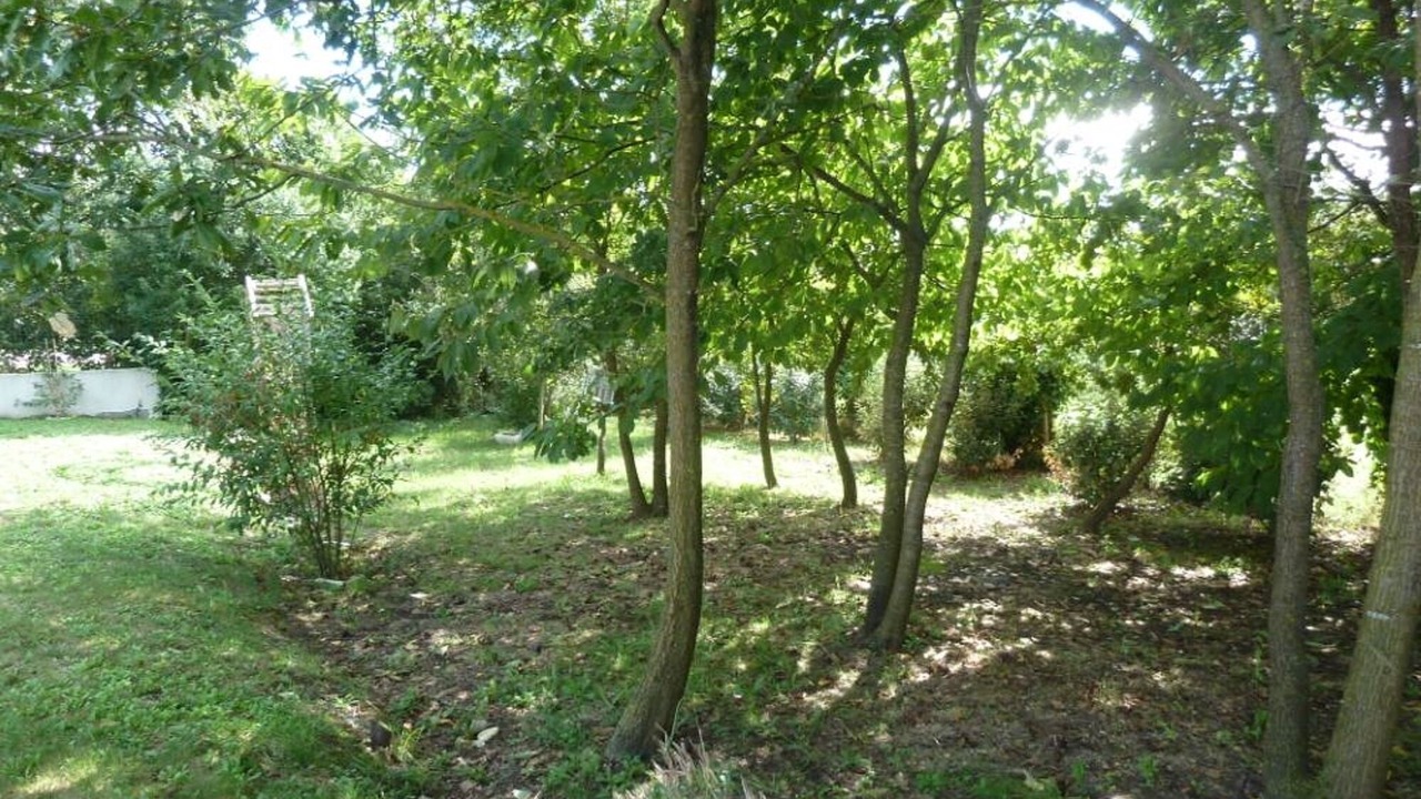 Photo of Outdoor in La Cotiniere